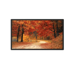 21.5-inch Wall Mount LCD Advertising Digital Signage
